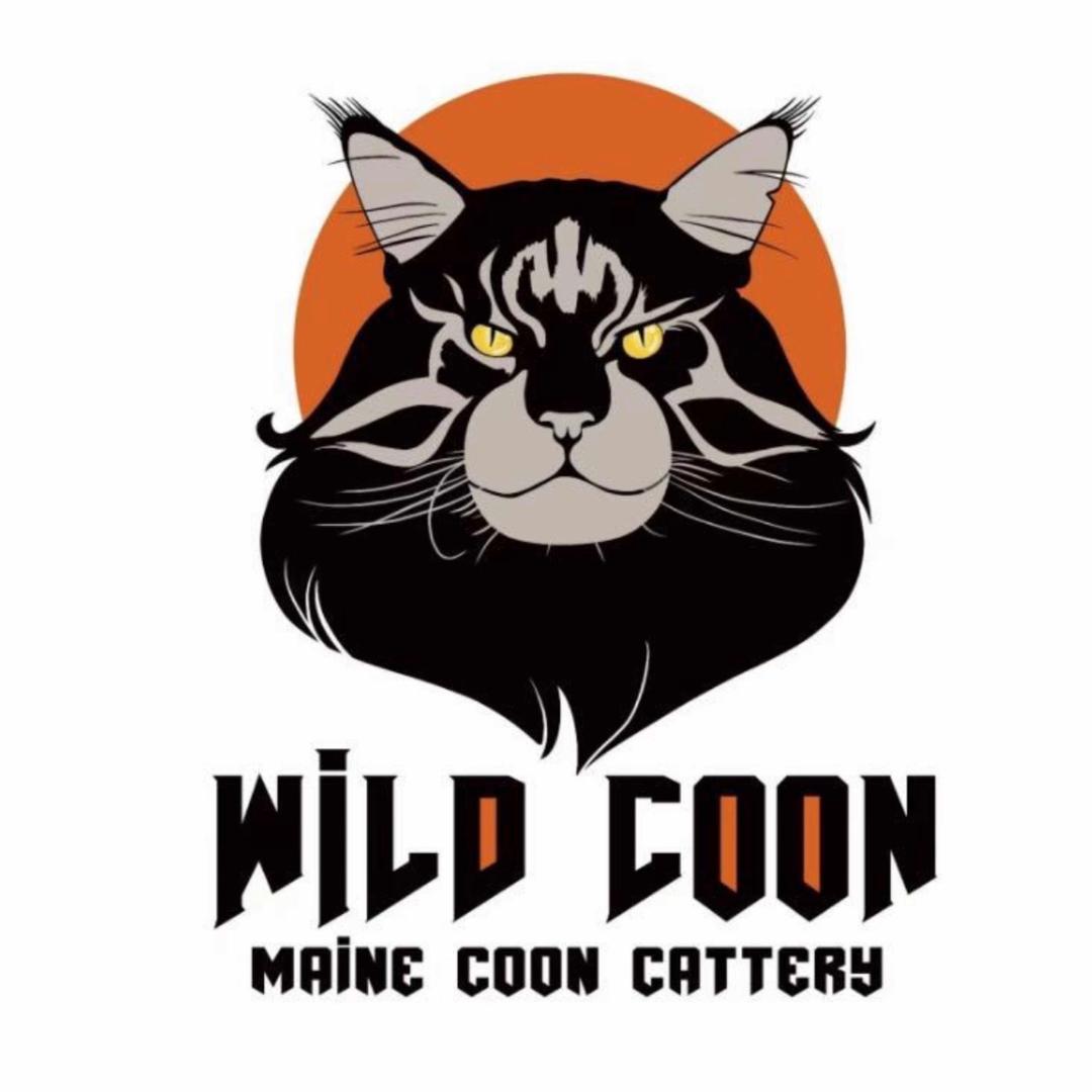 威尔库恩缅因猫舍