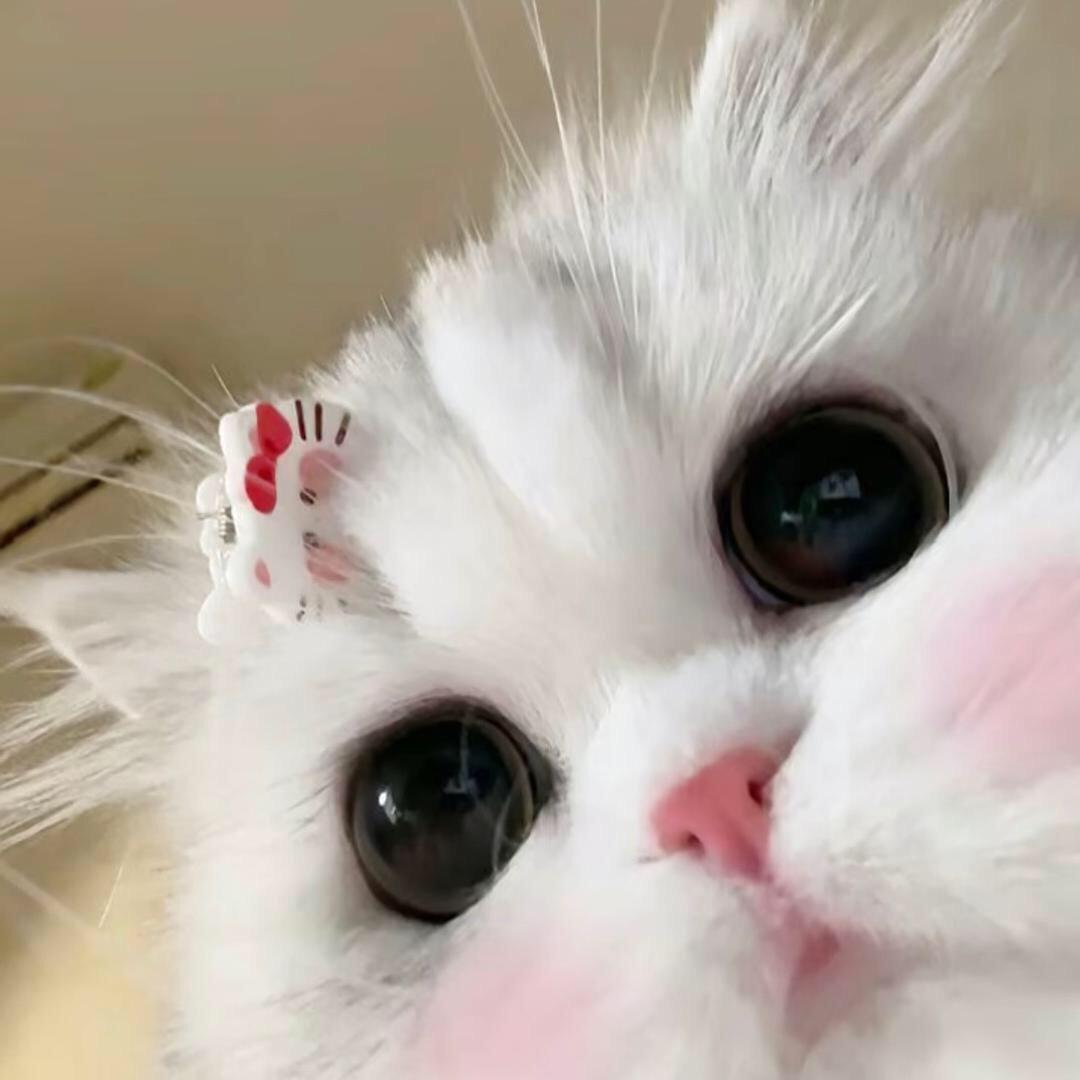 粥  粥^