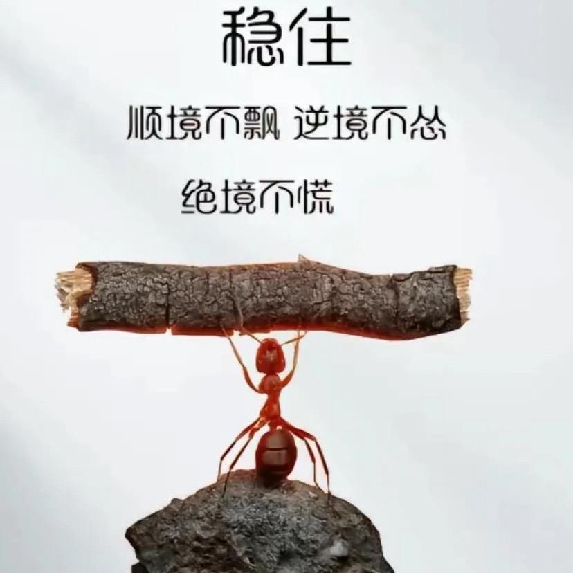 以梦为马！不负韶华
