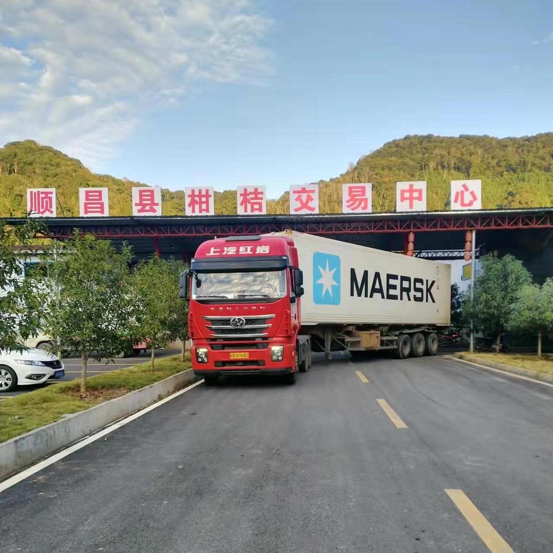 耘宇农业（柑桔葡萄出口）