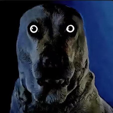 喜欢被丑的访问