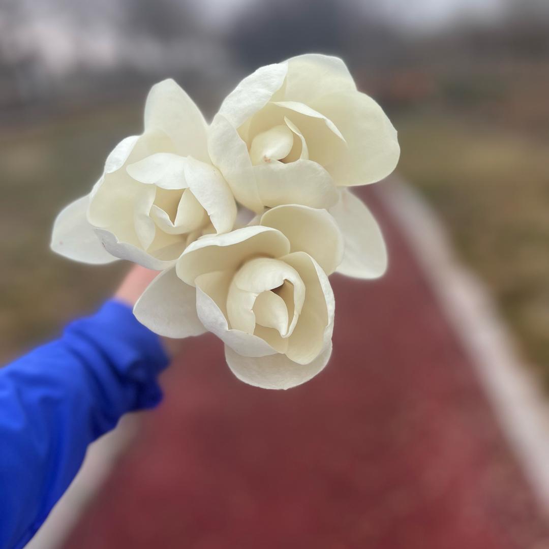 A 小༺幸༒福༻💄