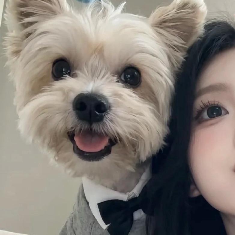 恩宠宠物好物铺子