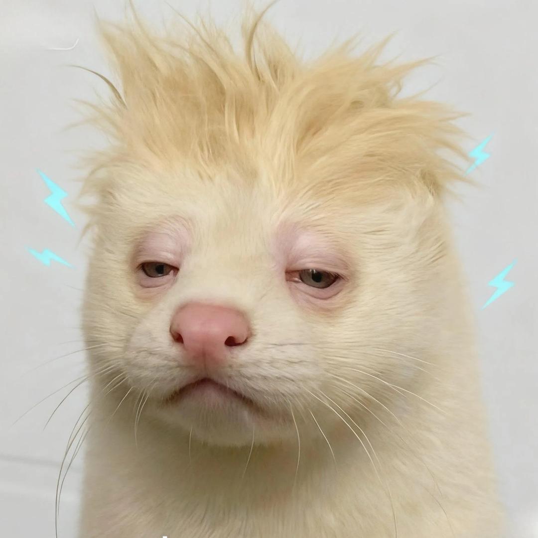 想梨
