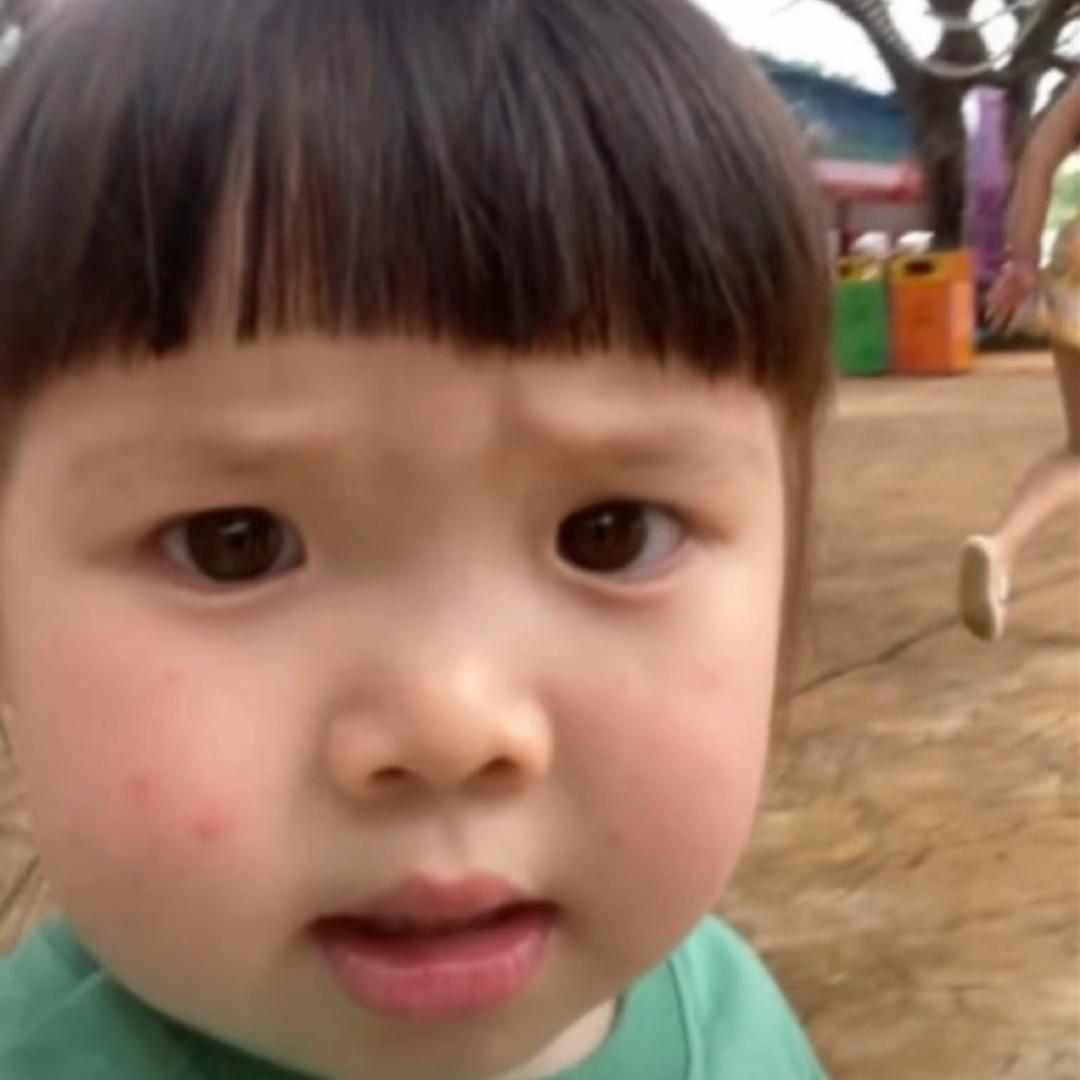 李子木木木