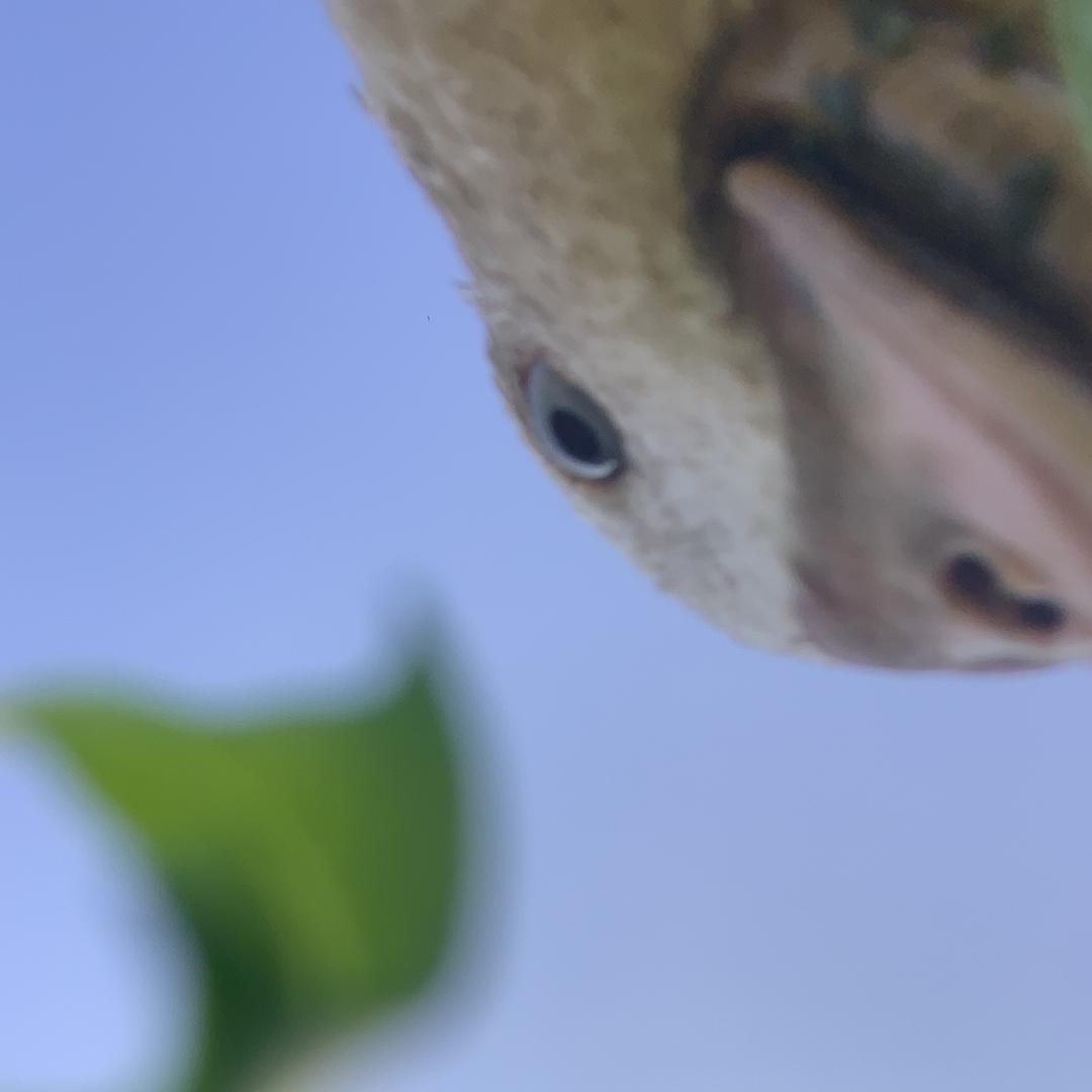 摄影约拍