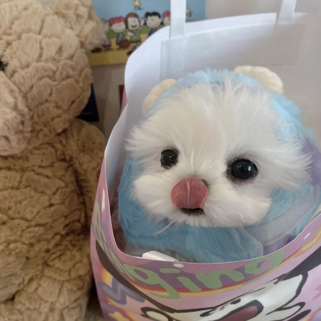puffkten
