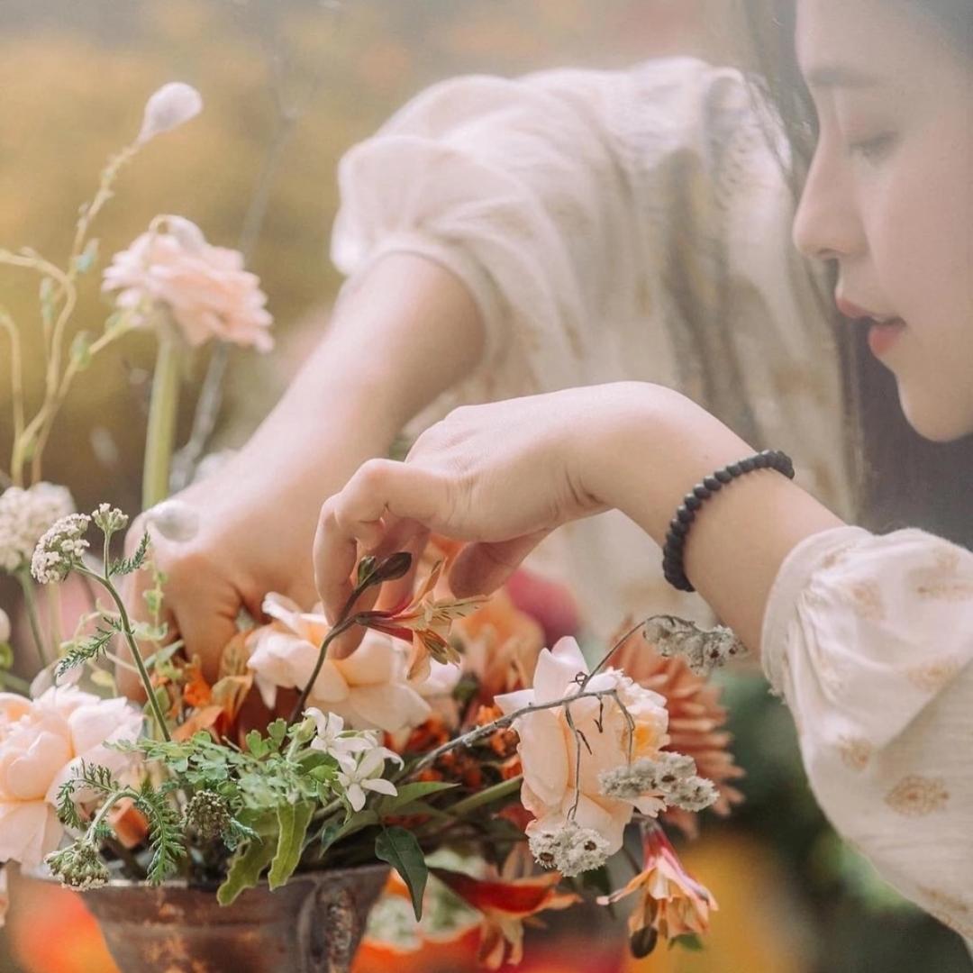 菲菲