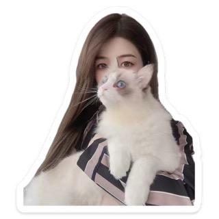 陈Ali（羽绒服版）