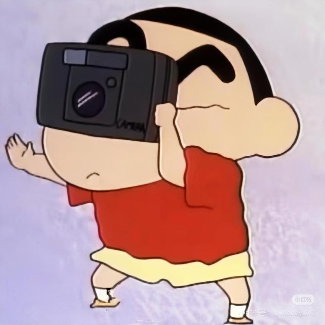 只会摸鱼的雪豹📷