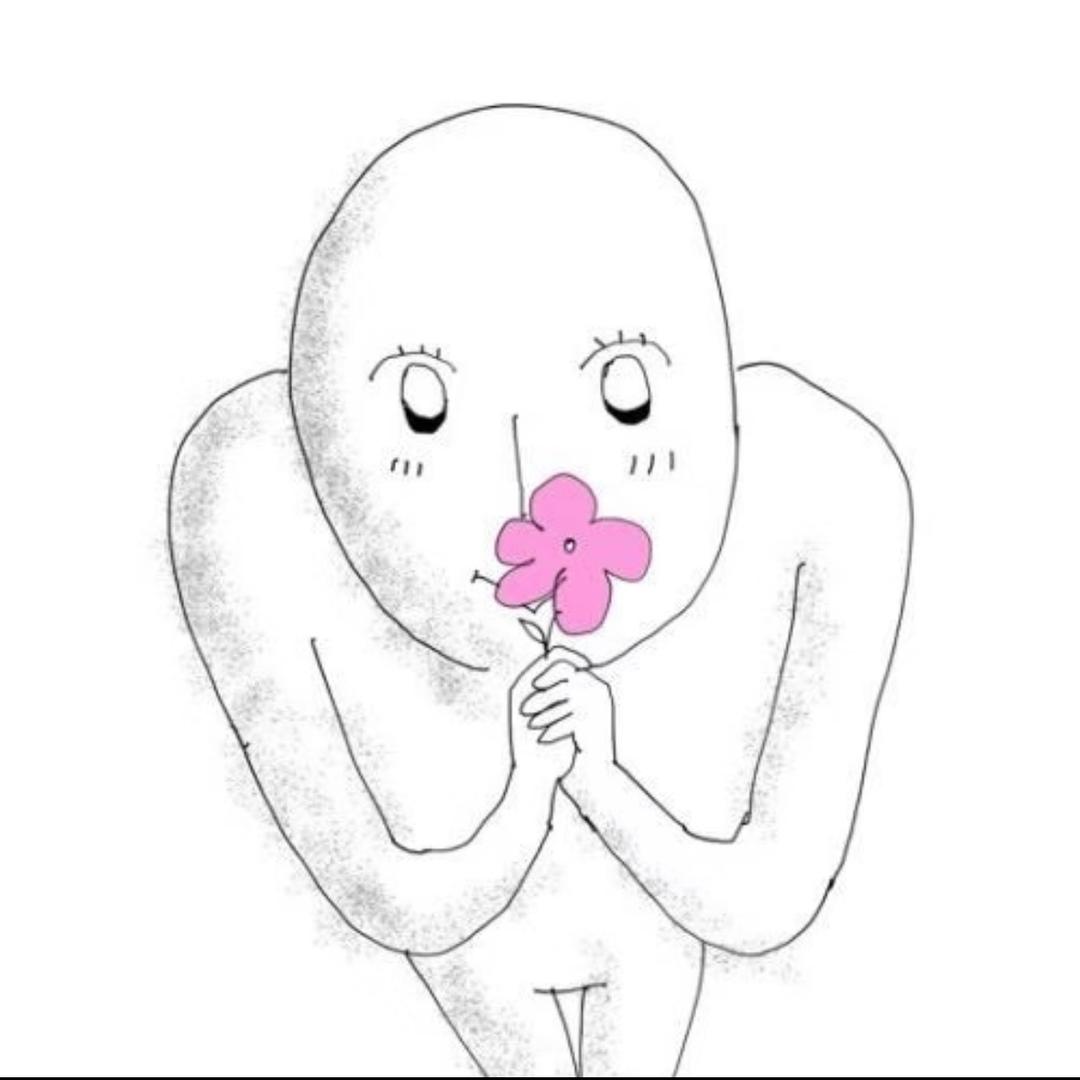 圆滚滚的胖布偶