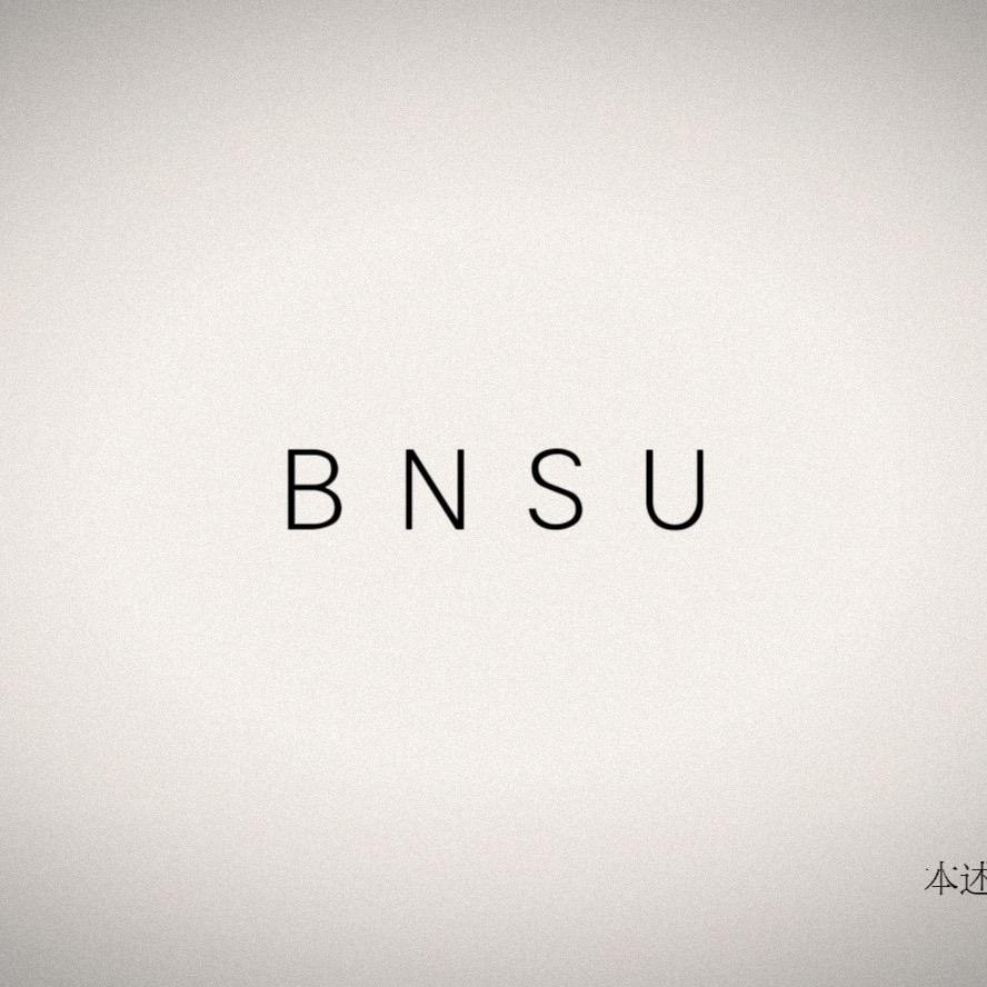 BNSU本述