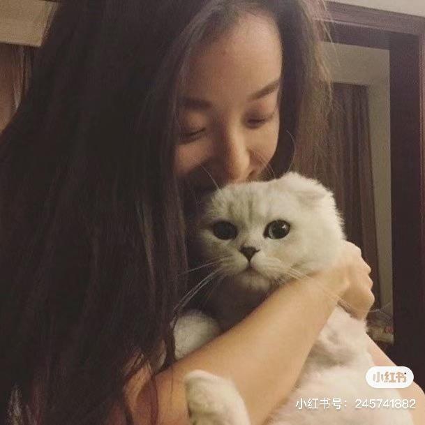 一百个蛋挞-