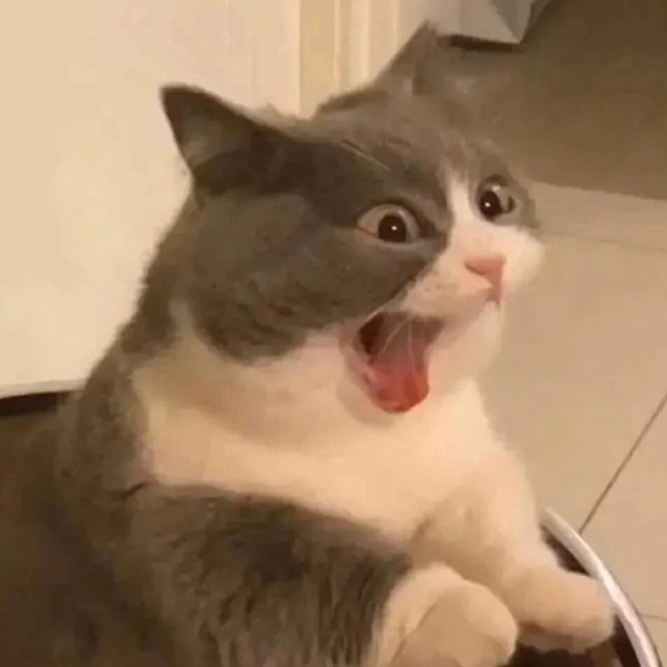 向晚