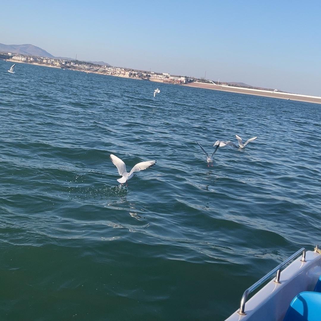 广州朋顺百货商行5