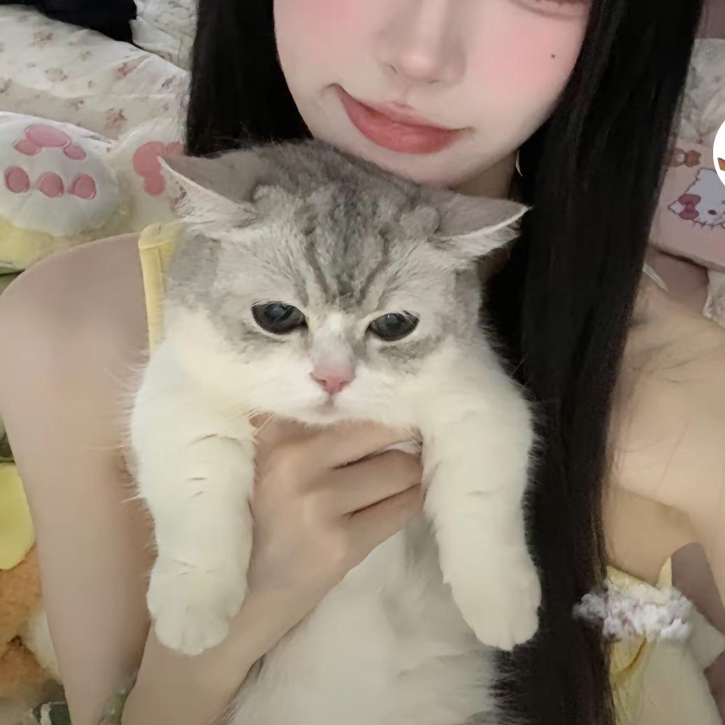 猫猫大厨
