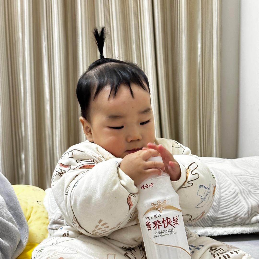 屁屁的日常生活