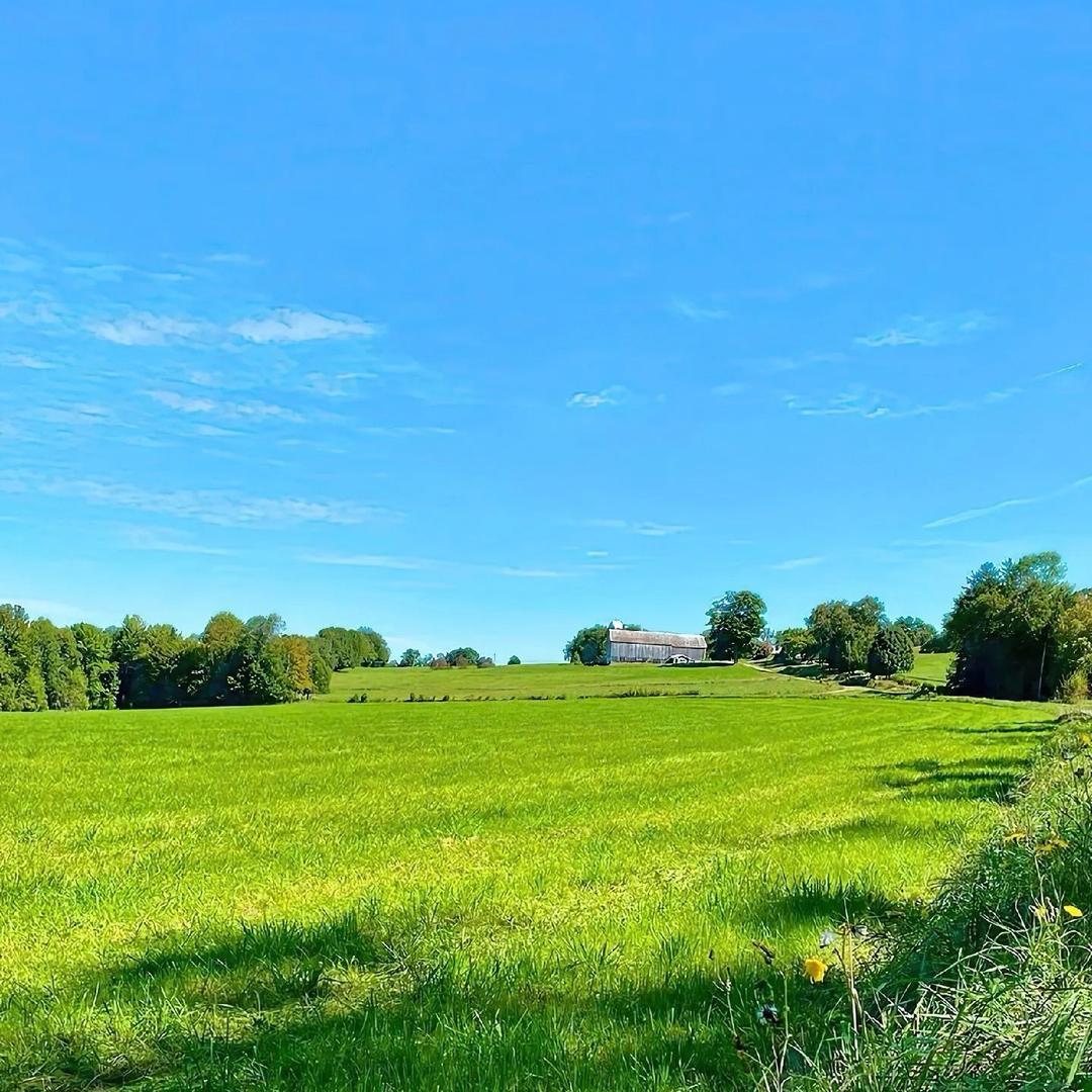 _🤍代老板儿🍼