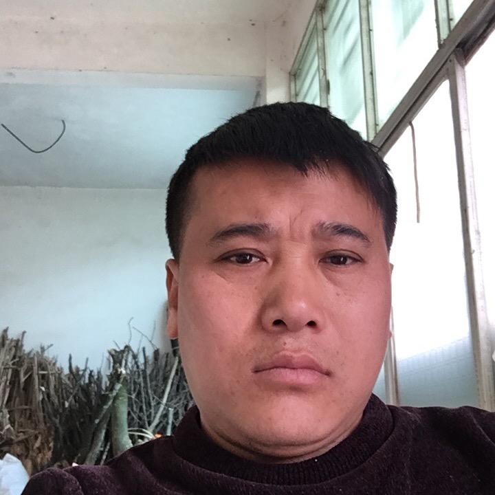 段哥