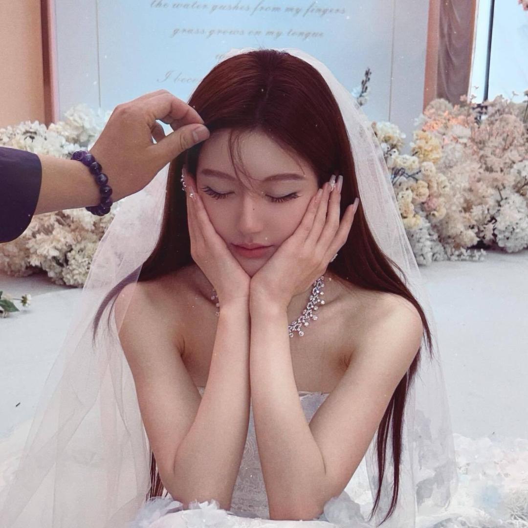 凤梨女士