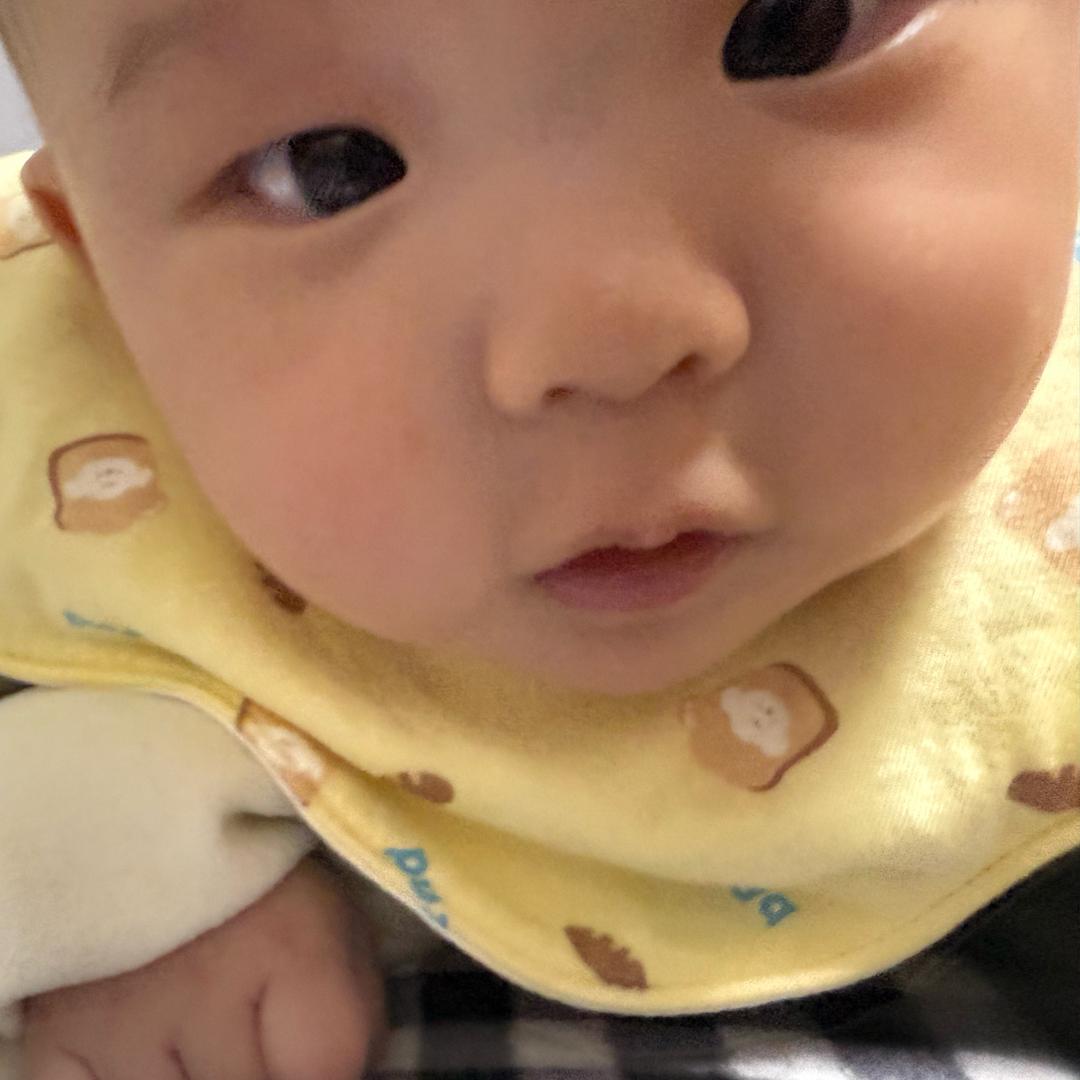 杰宝大王66