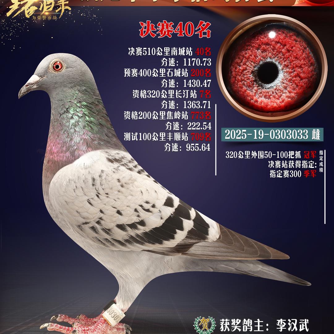 联友赛鸽