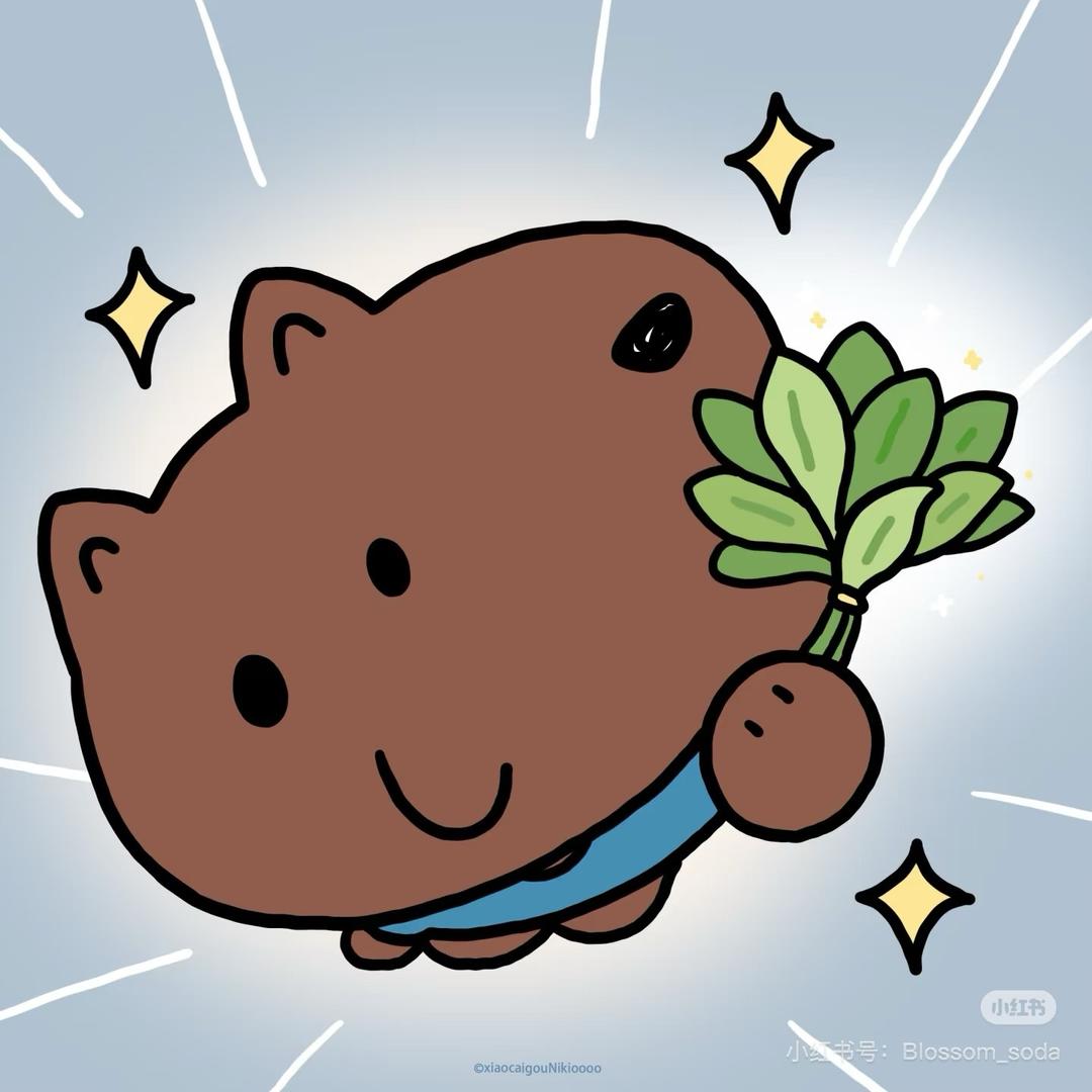 史迪仔超开心🧜
