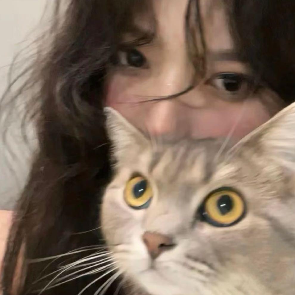 李柒柒