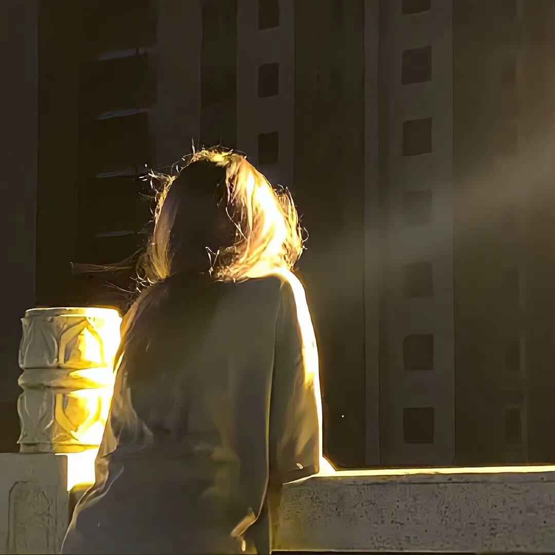 桂圆小丸子