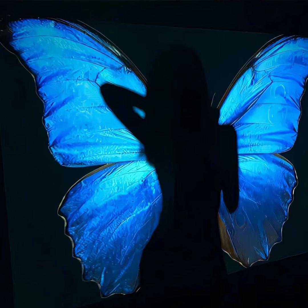 Tsuki🦋