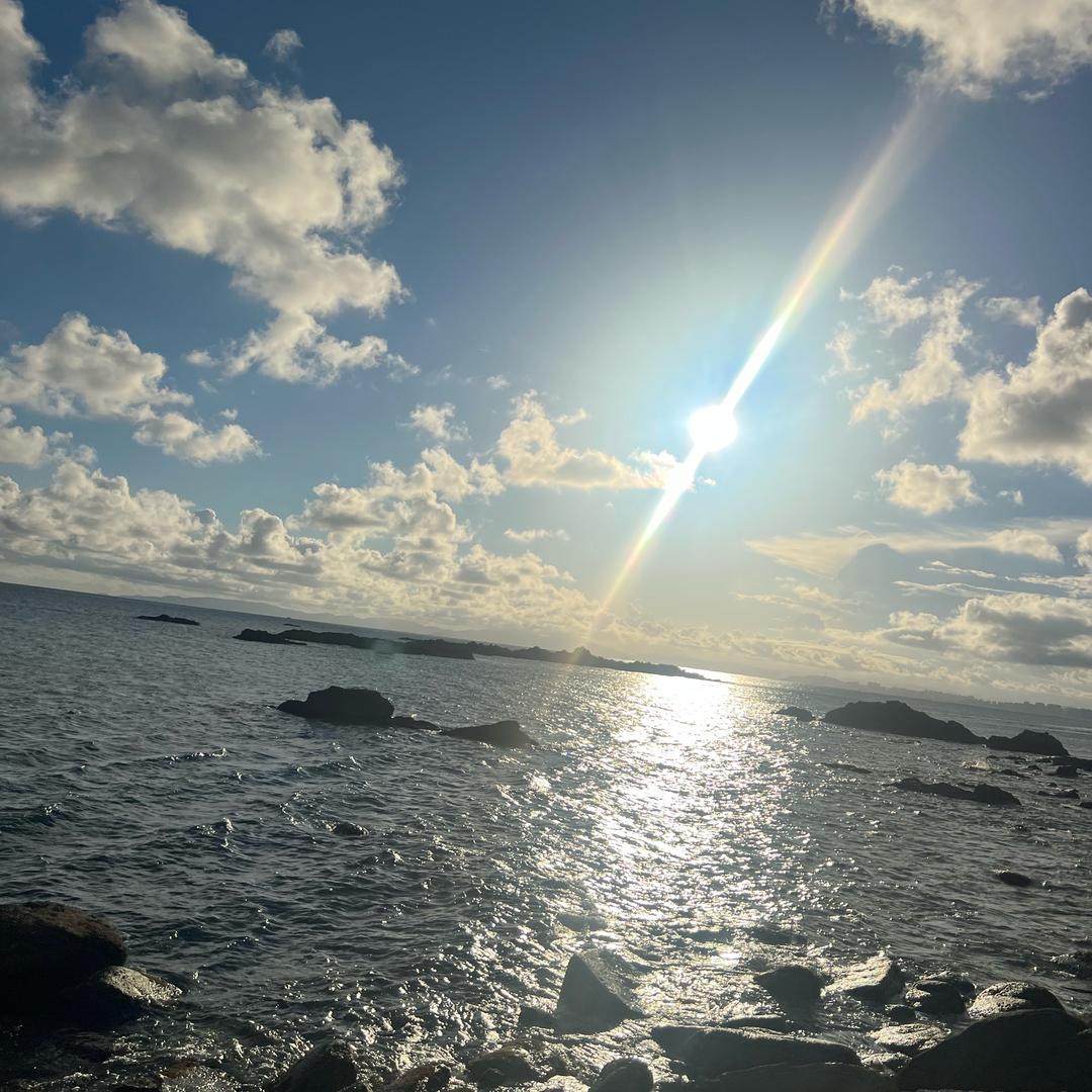 麻辣粉🐴🙈（见过花花）