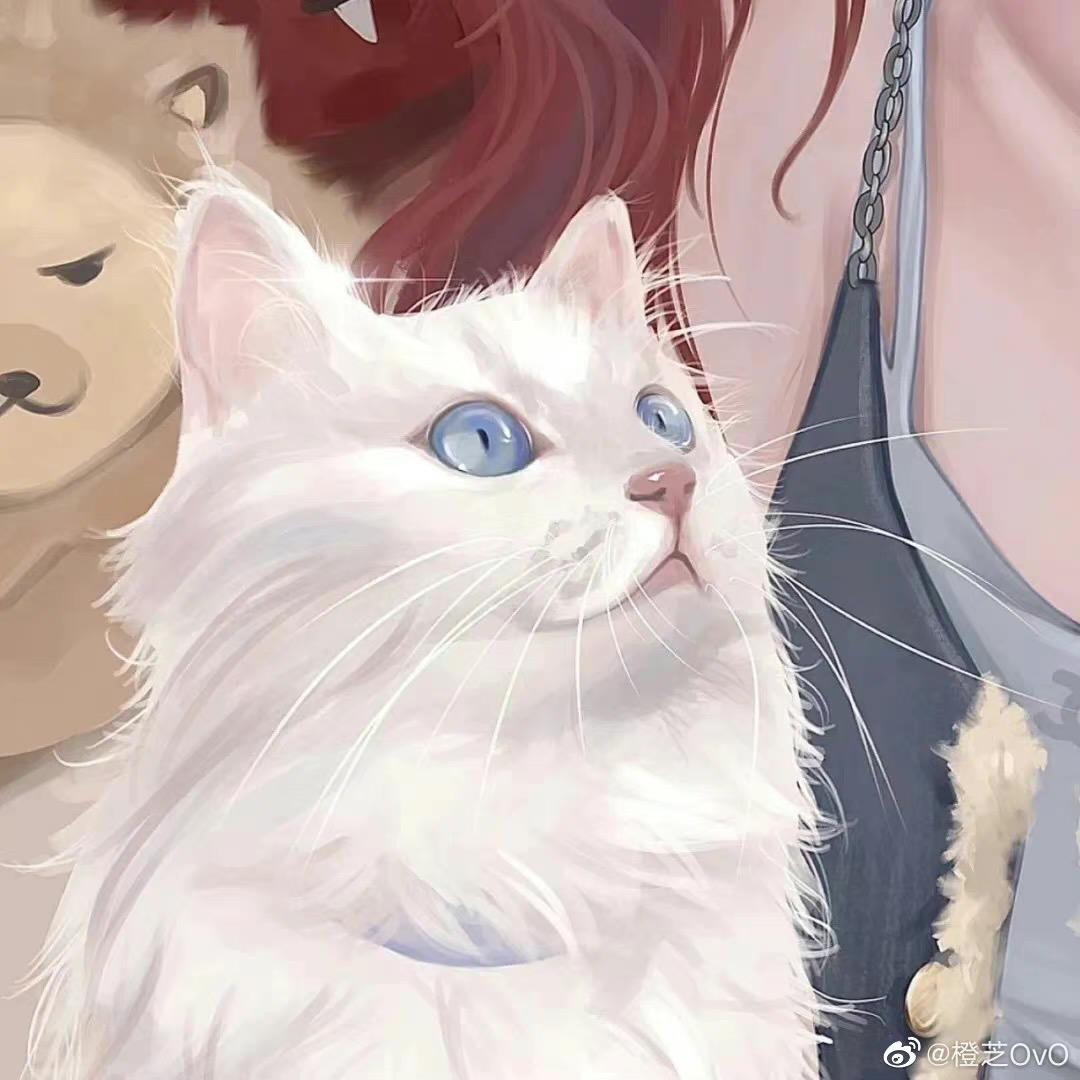 攀攀猫