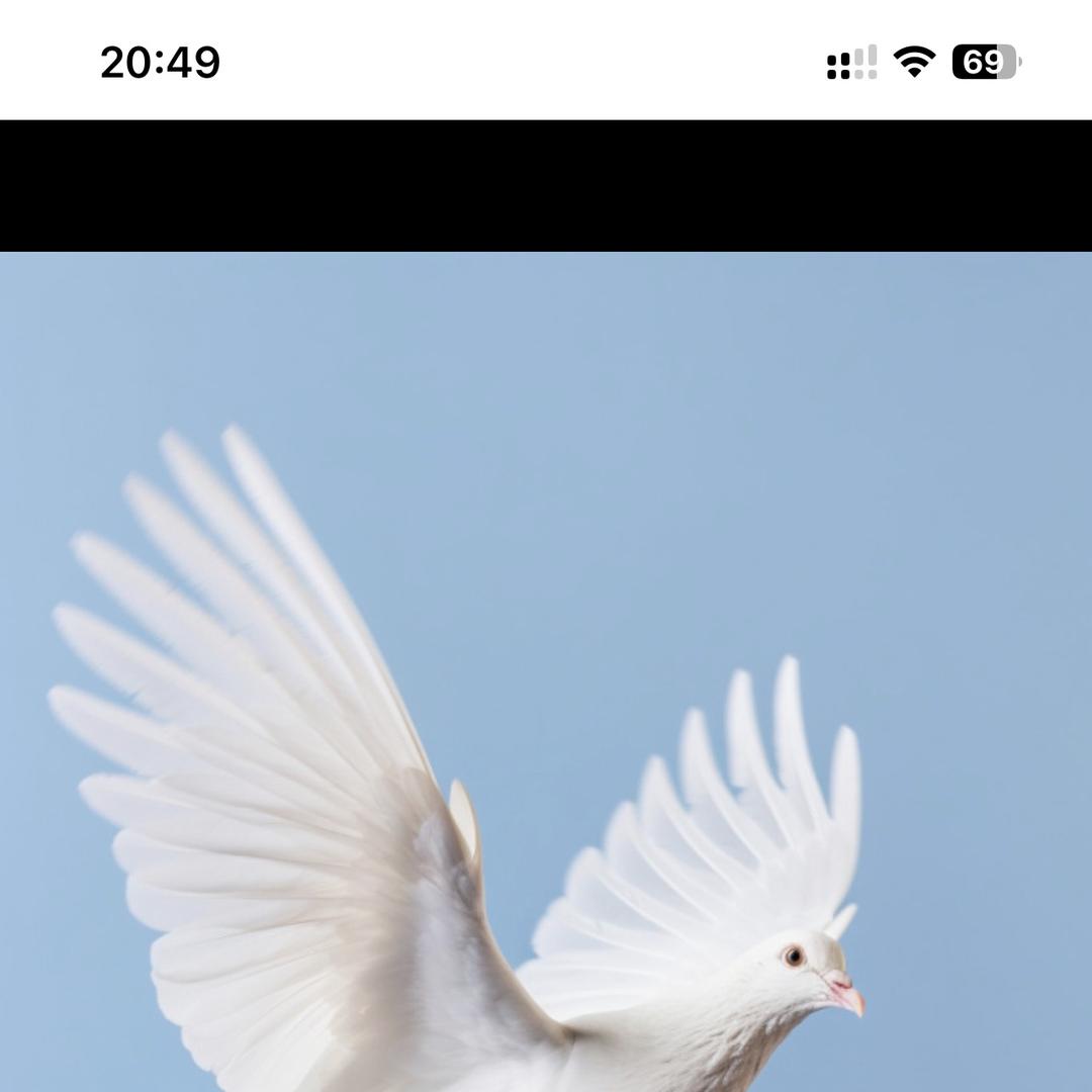 北京野谷园餐饮管理有限公司