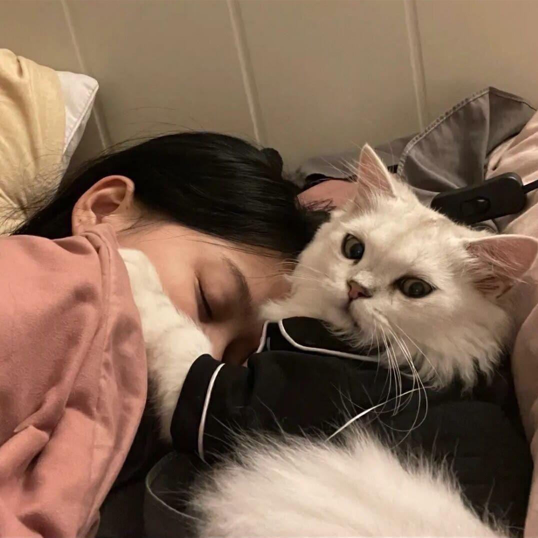 AAA水果批发兔子小姐