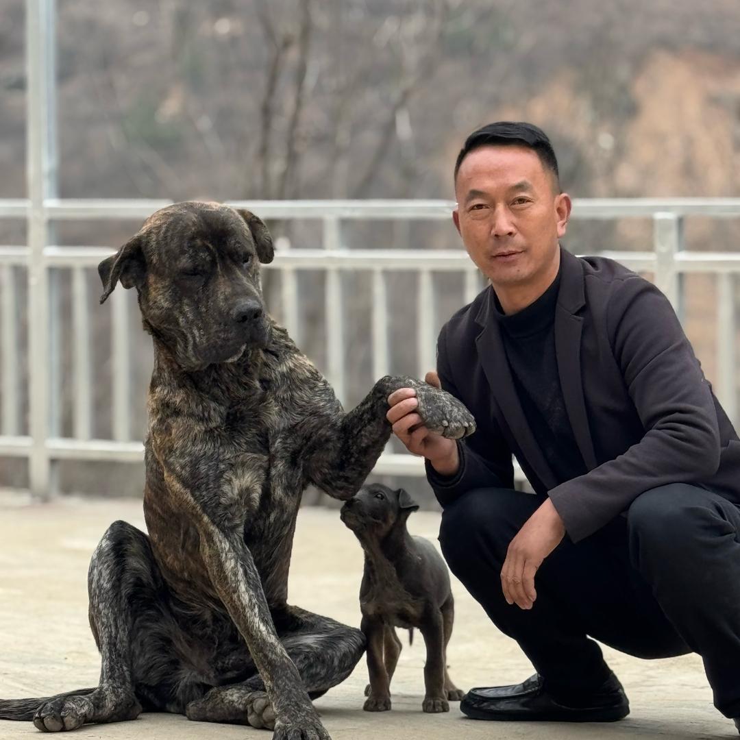 大杨公益护农