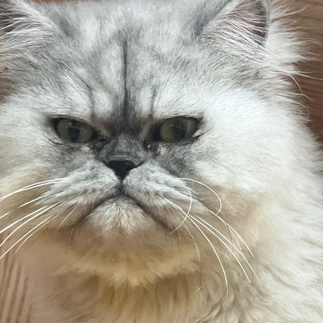 阿观观