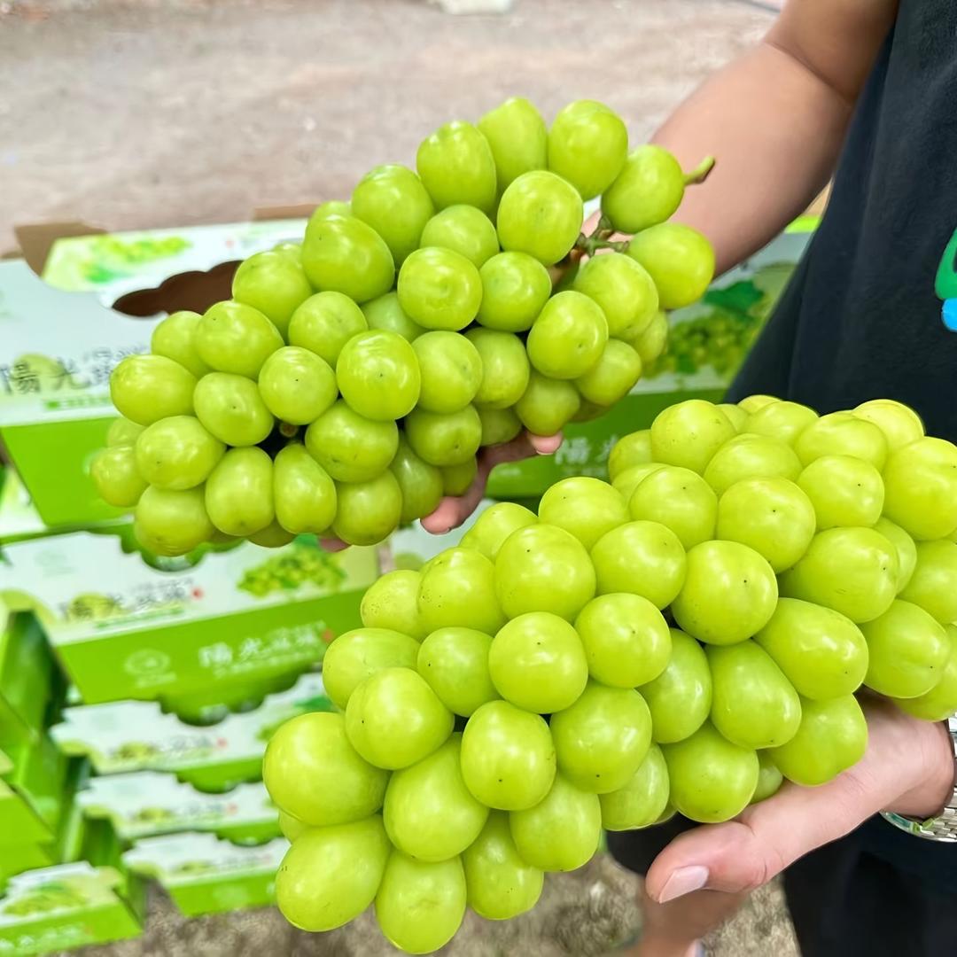 伦熙鲜果精选铺