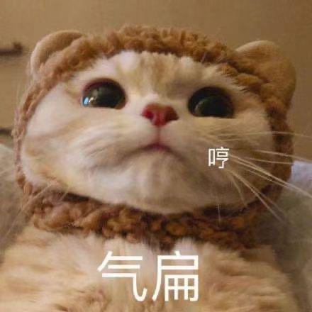 扎心啦