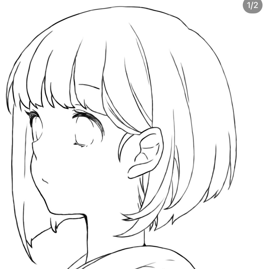 胡萝卜🥕