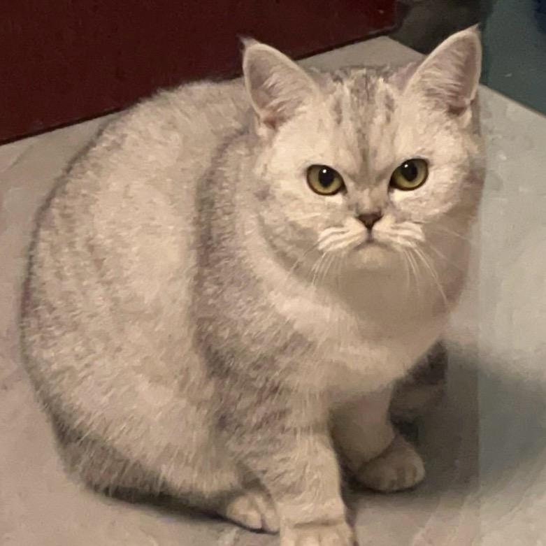 陳   （减肥中）  目标140