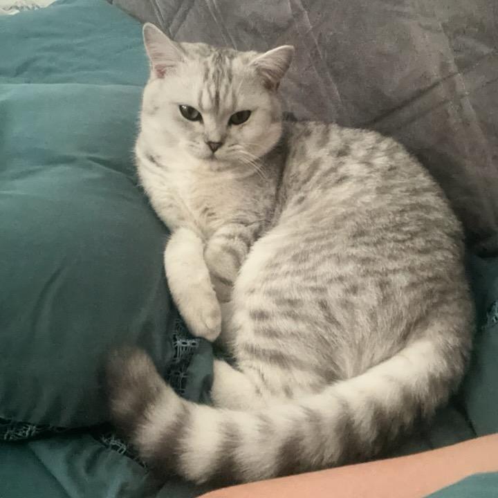 天蝎座