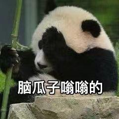 熊宝