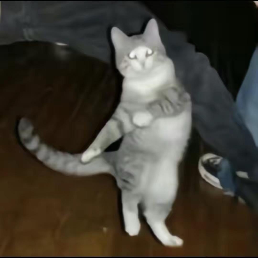 qq