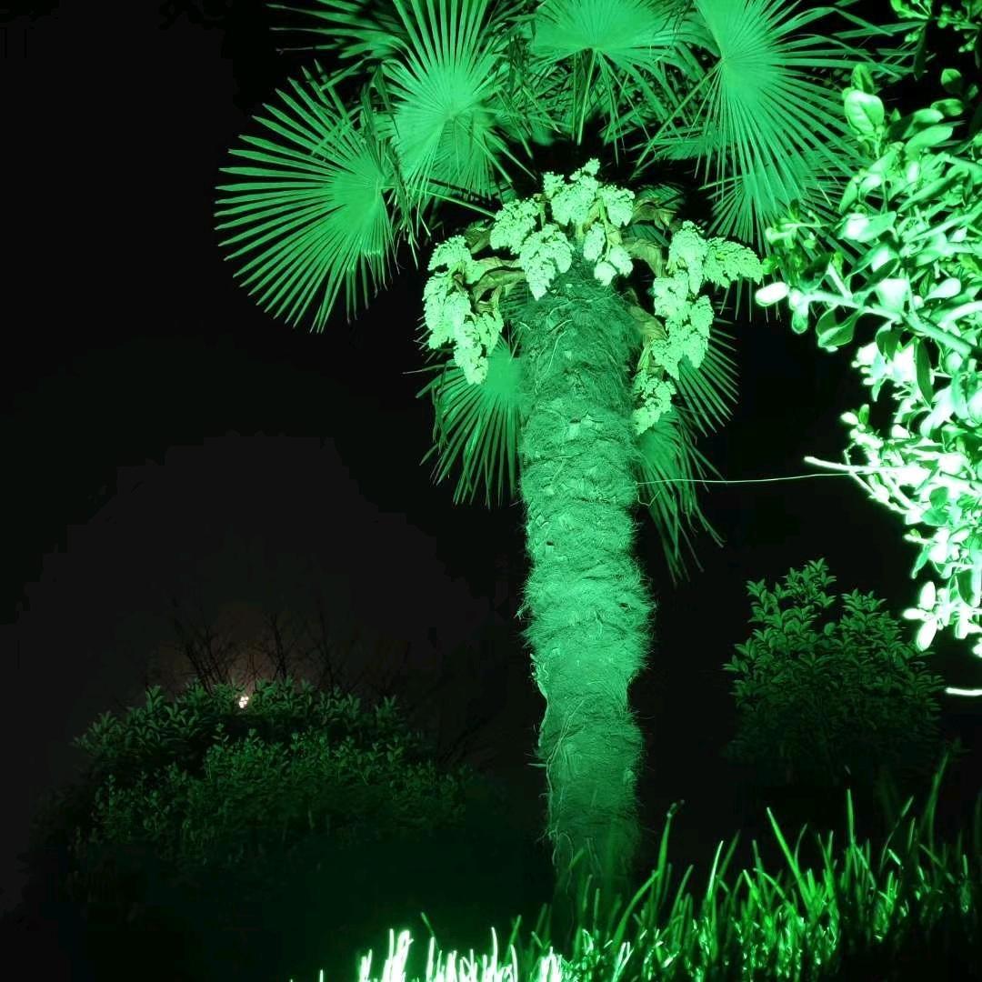 阿文（日常记录）