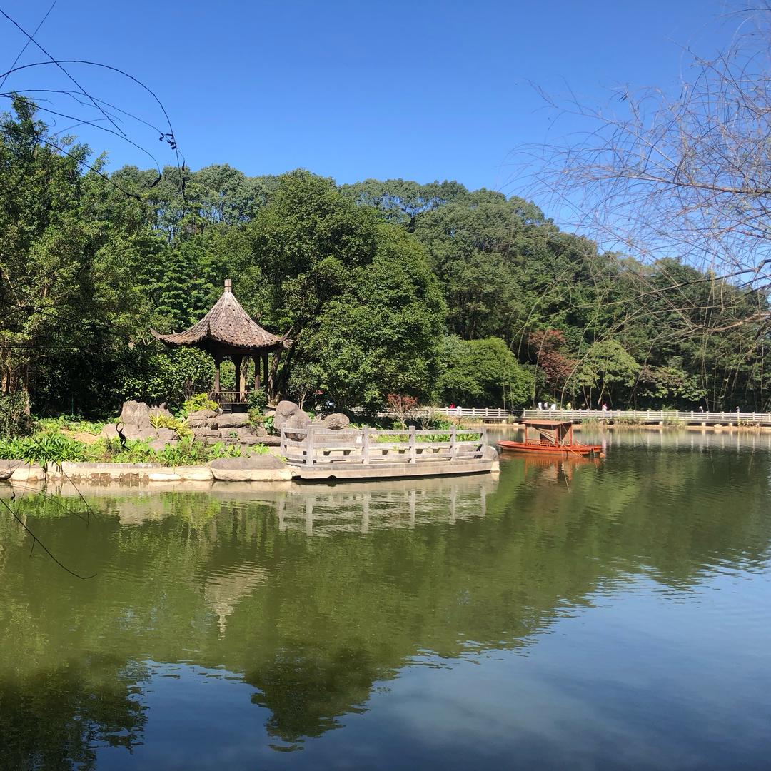 很艰辛de红花桑