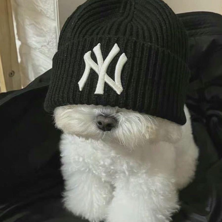 dy