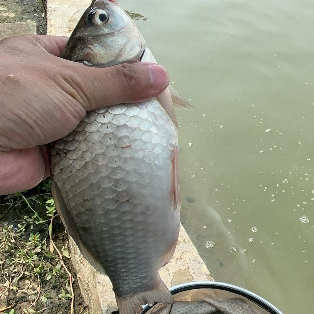 漁伱有缘
