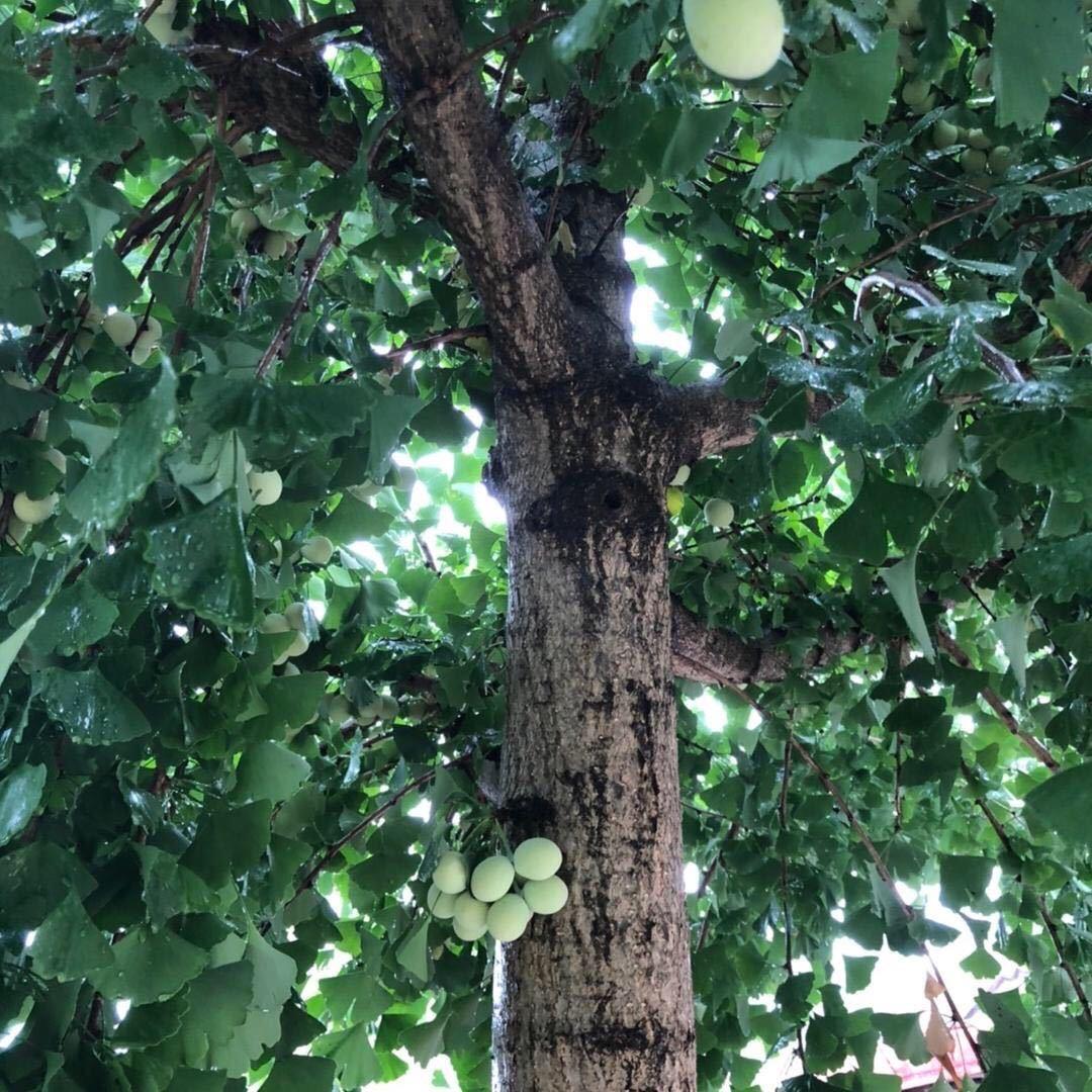 等我－分钟