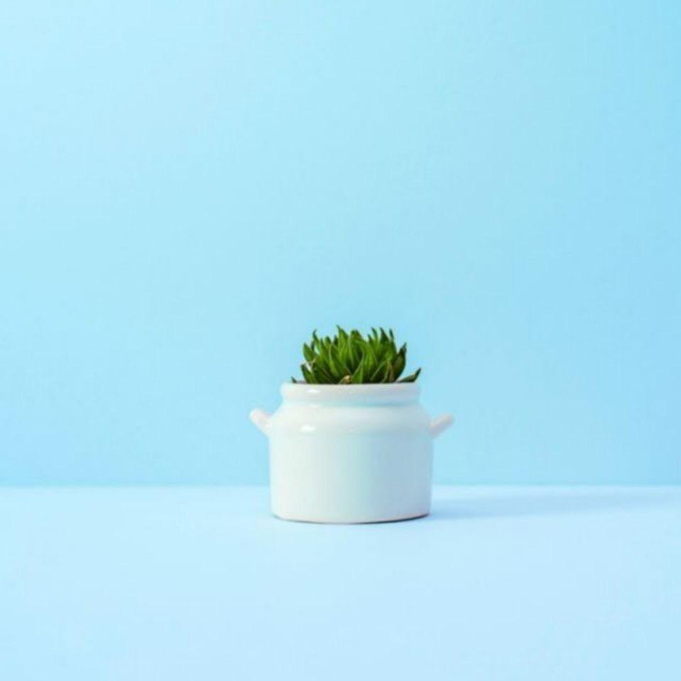 MR....W   冷暖自知