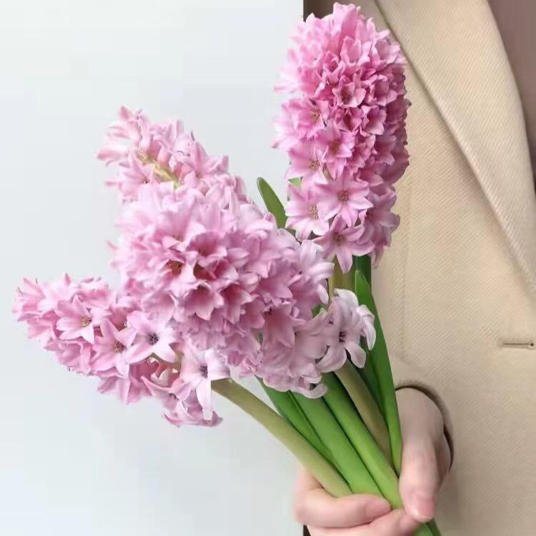 水中映月